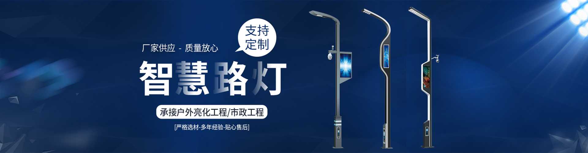 兴化市太阳能路灯定制厂家
