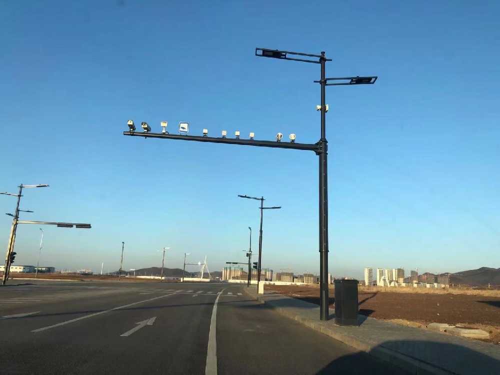 兴化市黑龙江佳木斯综合路灯杆项目