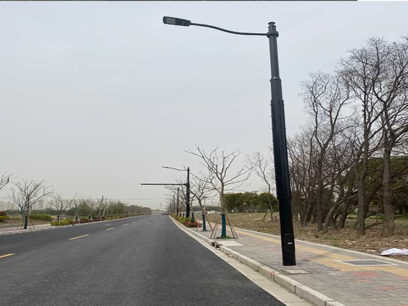兴化市上海综合杆 太阳能路灯工程